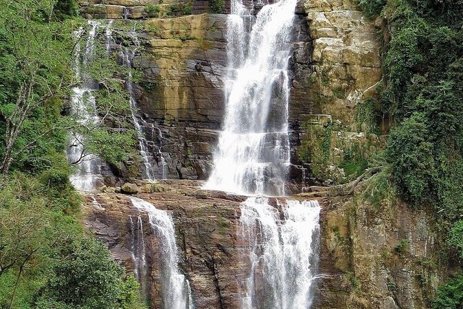 NuwaraEliya Tea Factory,Plantation & Water Falls Hike Tour by Car - Inside the Tea Factory: What You’ll Learn and Why It Matters
