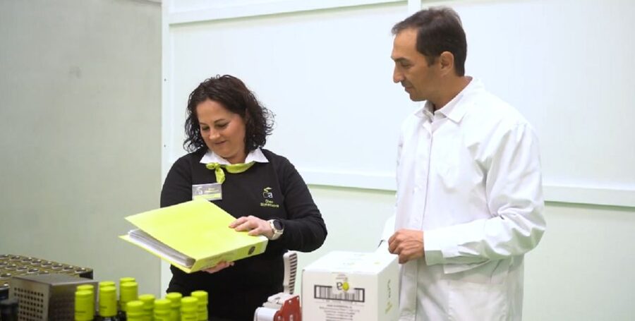 OleoAlmanzora: Guided tour + EVOO Breakfast/Afternoon tea - Logistics to plan around (so nothing surprises you)