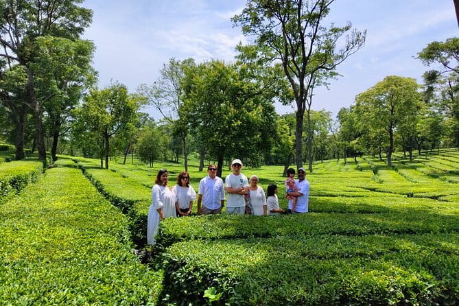 Palampur Tea Garden Tour - Key Highlights You’ll Actually Care About