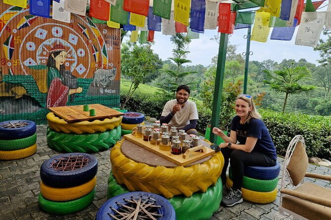 Palampur Tea Garden Tour - Tea Estate Scenery Meets a Guided Tasting Session: How Kangra Tea Changes What You Notice