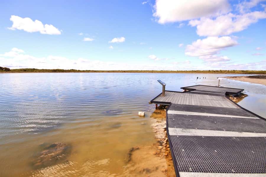 Perth: Pinnacles Desert Lobster Tour with Morning Tea - Coach comfort, group pace, and how the day is timed