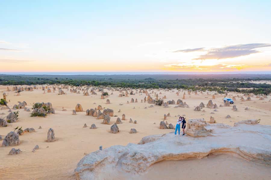 Perth: Pinnacles Desert Lobster Tour with Morning Tea - Price and value: is $116 a smart deal?