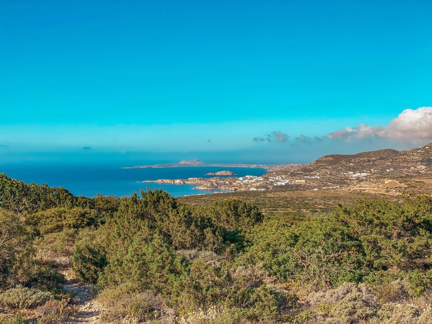 Pigadia: Agia Kyriaki Guided Hike with Coffee/Tea and Raki - Coming back down: pine-scented air and east-coast unfolding