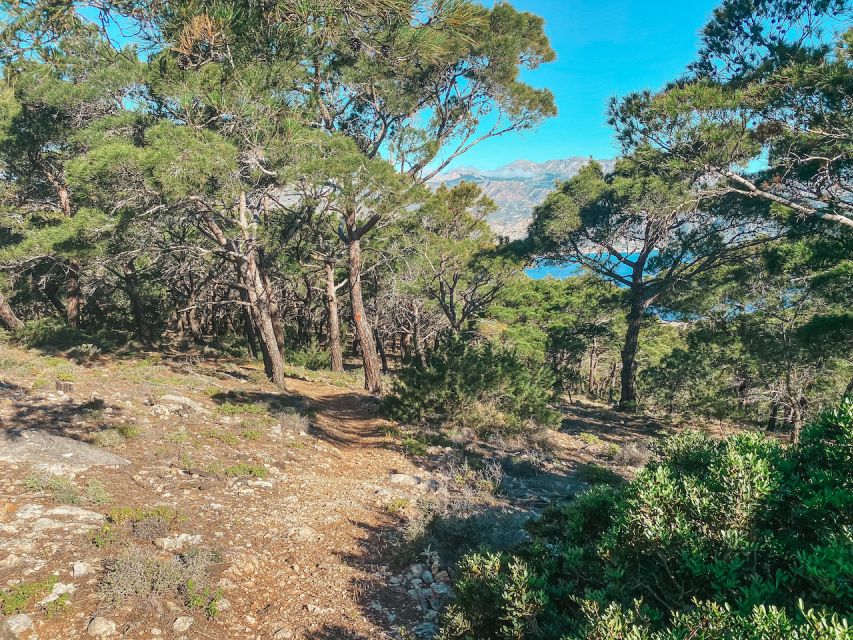 Pigadia: Agia Kyriaki Guided Hike with Coffee/Tea and Raki - Price and value: is $54 worth your time?