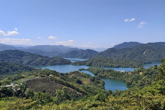 Pinglin Tea Culture & Maokong Day Tour from Taipei - Key highlights worth your attention