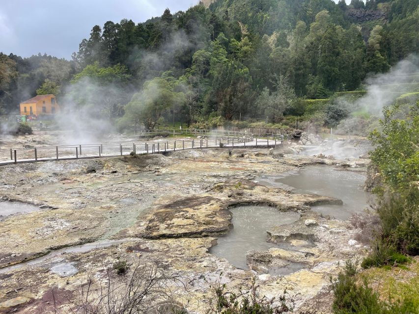 Privat van tour Furnas valley, Gorreana tea – islands gems - Key things that make this tour worth your time