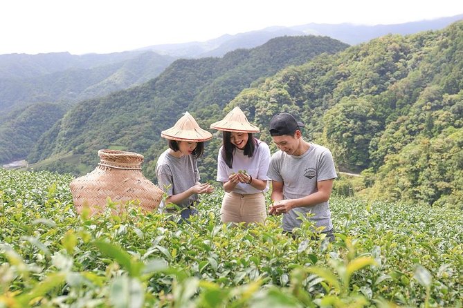 Private 1-Day Tea Experience in Taipei - Key things to know before you go