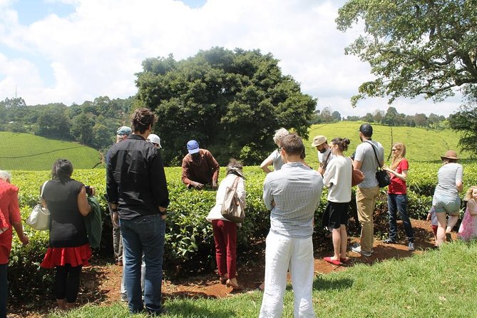 Private Day Trip to Kiambethu Tea Farm in Limuru from Nairobi - Entering Kiambethu Tea Farm: what your tour actually covers