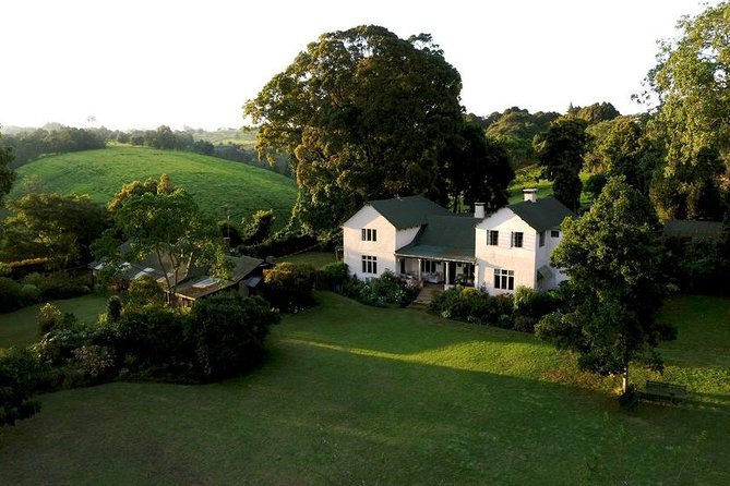 Private Day Trip to Kiambethu Tea Farm in Limuru from Nairobi - Verandah views, pre-lunch drinks, and that 3-course lunch