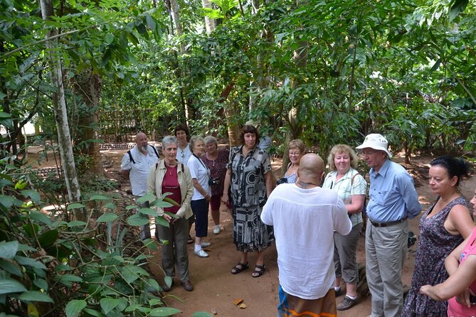 Private Galle Day Tour with Boat Safari & Tea Factory Visit - All Inclusive - Dutch Fort Galle: walking the colonial streets with entry included