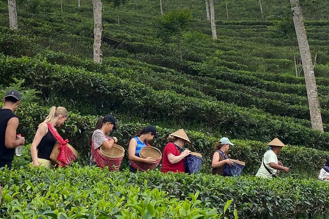 Private Half-Day Tea Village Discovery with lunch in Yogyakarta - Key things I’d prioritize before you go
