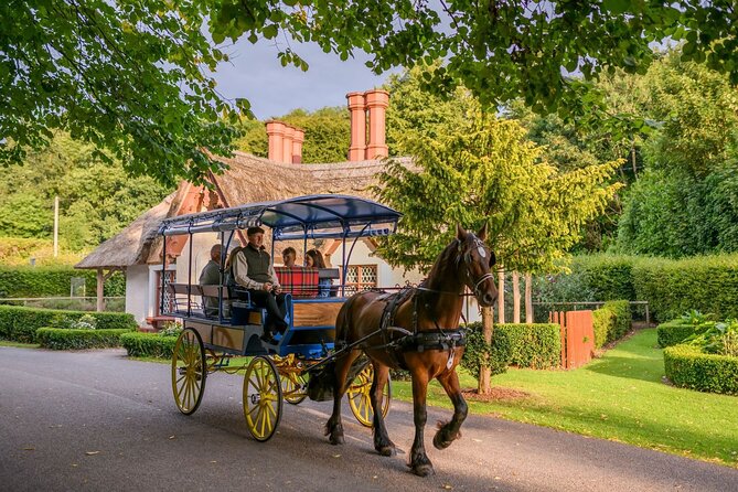 Private Jaunting Tour and Afternoon Tea in Killarney - Ross Castle: a quick stop that’s more about atmosphere than a long visit