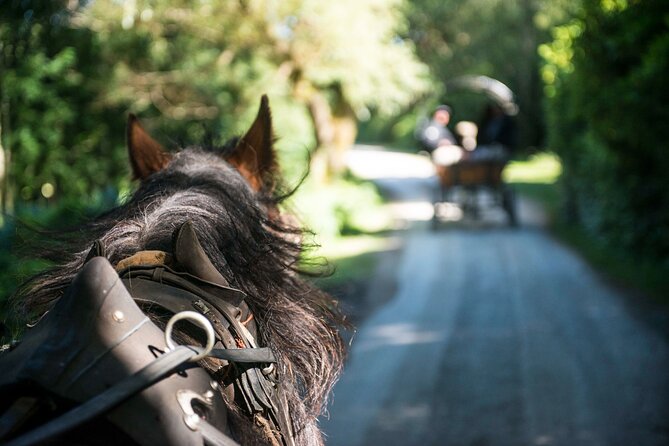 Private Jaunting Tour and Afternoon Tea in Killarney - Afternoon tea at The Great Southern Hotel: the classy finish