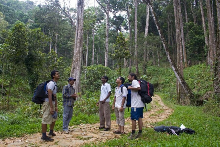 Private Munnar Tea Trek - Price and Inclusions: what $14 gets you in real terms