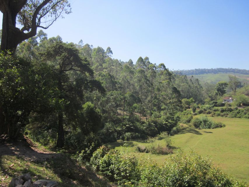 Private Munnar Tea Trek - Should you book the Private Munnar Tea Trek?