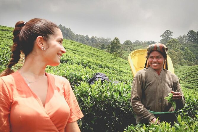 Private Tea Tour and Tea Factory - Key highlights you’ll actually remember