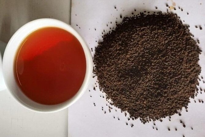 Private Tea Tour and Tea Factory - Who Should Book This Tea Tour (and Who Might Reconsider)