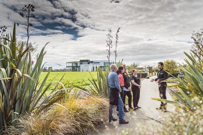 Private tour from Auckland - Waitomo Glowworm Caves, Zealong Tea & Kiwi Bird - Key things to know before you go