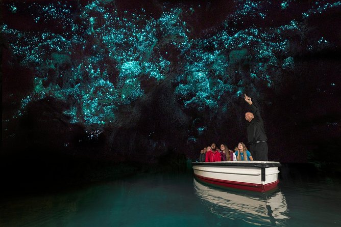 Private tour from Auckland - Waitomo Glowworm Caves, Zealong Tea & Kiwi Bird - Who this private tour is best for