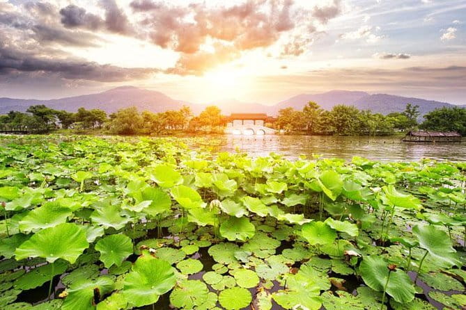 Private Tour Hangzhou West Lake and Tea Fields Discovery - Key things that make this Hangzhou tour work