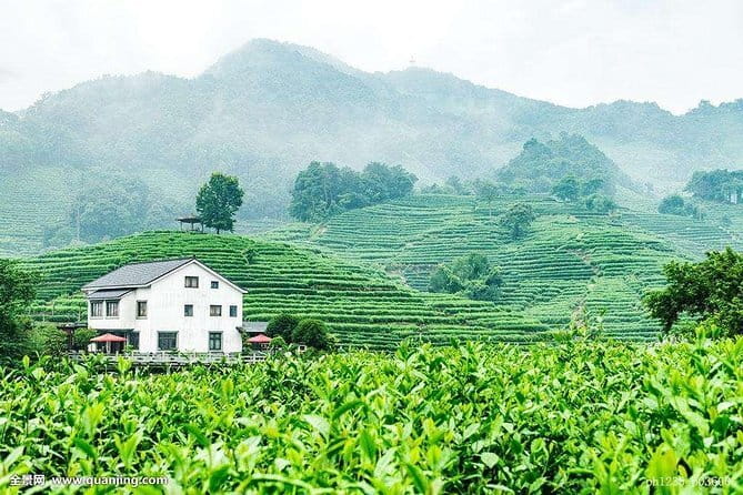 Private Tour Hangzhou West Lake and Tea Fields Discovery - Who this Hangzhou West Lake and tea-fields tour is best for