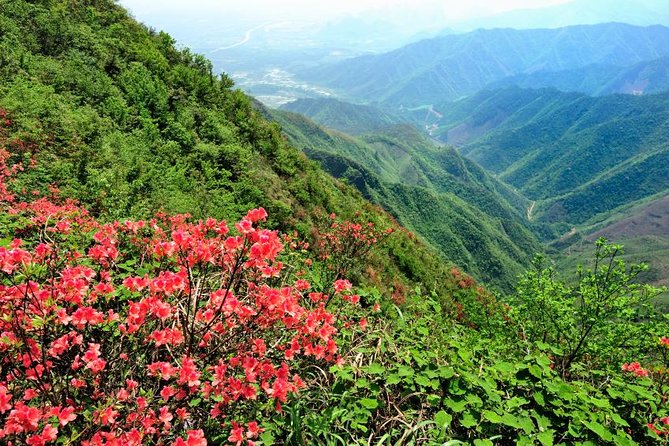 Private Tour: Yao Mountain and Tea Plantation from Guilin - The summit experience: views, the Yao Mountain resort area, and potential add-ons