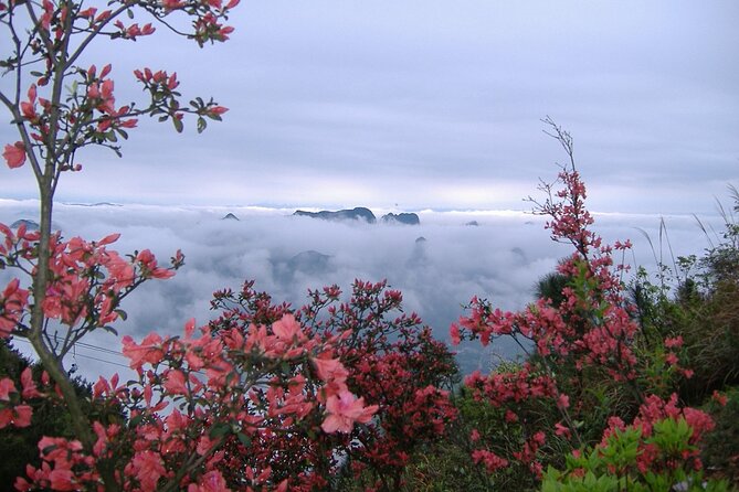 Private Tour: Yao Mountain and Tea Plantation from Guilin - Price and value: what $84.22 really buys you