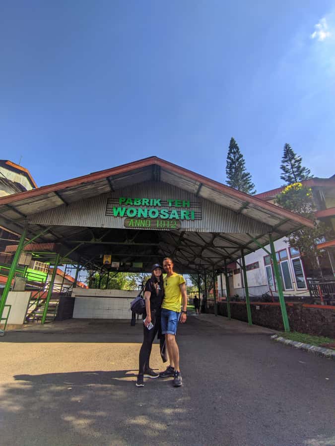 Private Trip Malang/Surabaya : Tour Tea Plantation Wonosari - Key highlights you’ll notice fast
