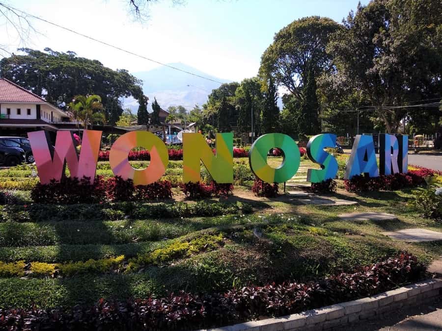 Private Trip Malang/Surabaya : Tour Tea Plantation Wonosari - Factory tour: how tea becomes tea (and why timing can matter)