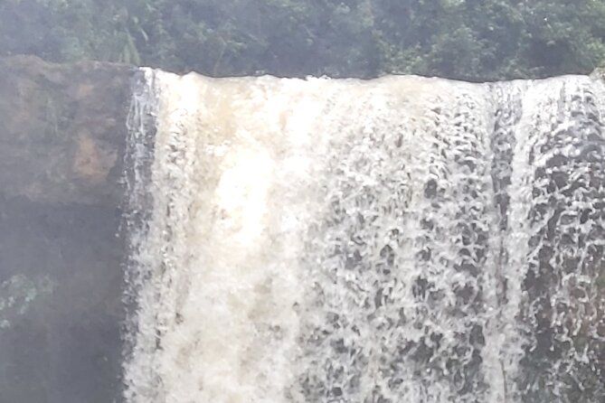 Purple Tea Farm Tour from Nairobi City - Specialty Tea Tasting - The nature walk to the waterfall: a break from tasting and questions