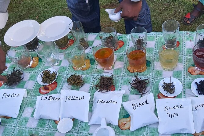 Purple Tea Farm Tour from Nairobi City - Specialty Tea Tasting - Buying tea leaves from the mill: bring home something real
