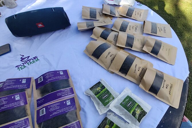 Purple Tea Farm Tour from Nairobi City - Specialty Tea Tasting - Hand-picking purple tea and learning what happens after