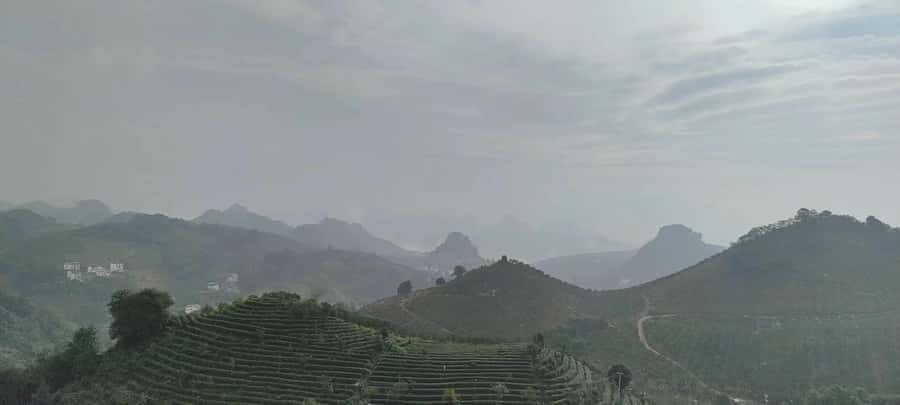 Qixianfeng Tea Plantation Tour in Yangshuo - From Picking Fresh Leaves to Making Tea Leaves for Take-Home