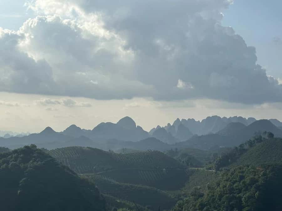 Qixianfeng Tea Plantation Tour in Yangshuo - Who Should Book This Tour, and Who Might Skip It