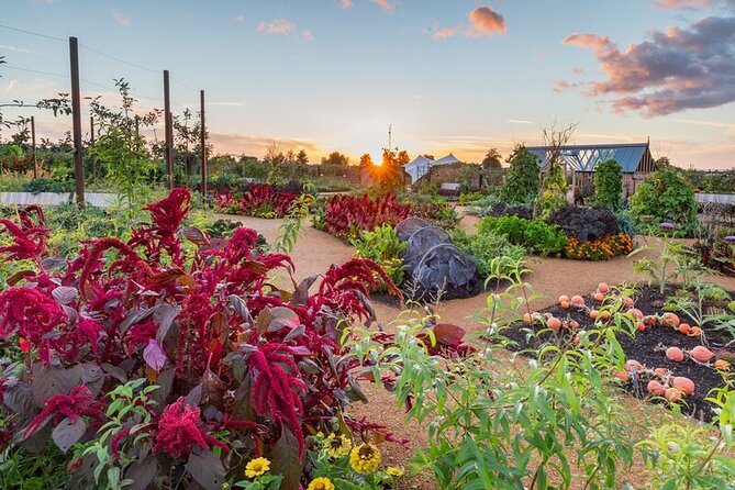 RHS Garden Wisley and Tea in the Garden Entry Ticket - Who should book this (and who might skip it)