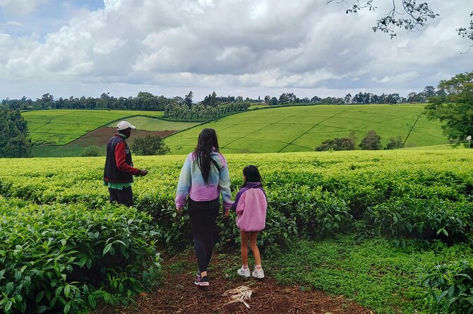 Riara tea farm tour with lunch and tea tasting from Nairobi - Farm tour to tea tasting: the best order of events