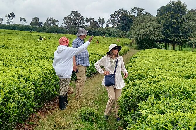 Riara tea farm tour with lunch and tea tasting from Nairobi - Lunch at the farm: a real meal, with dietary options