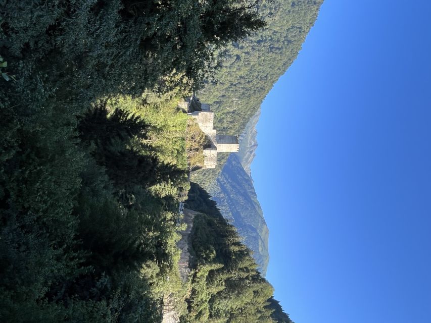Rize: Ayder Highland Village & Tea Tasting Private Day Trip - Fırtına Valley Views and Wooden-House Country
