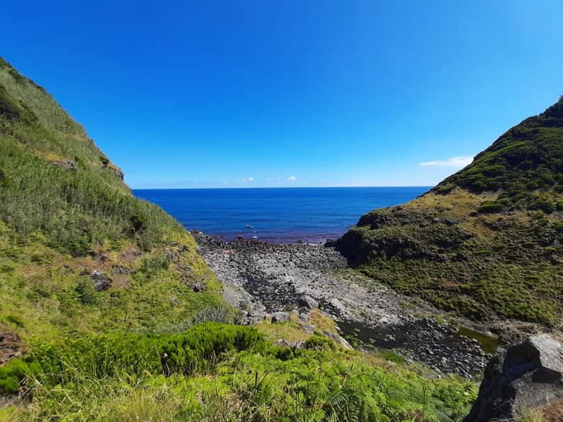 São Miguel: Moinho do Felix Hike with Tea Factory Visit - Key highlights that make this tour worth your time