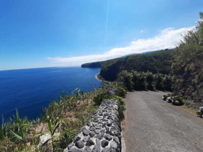 São Miguel: Moinho do Felix Hike with Tea Factory Visit - The tea factory visit: more than a quick photo stop