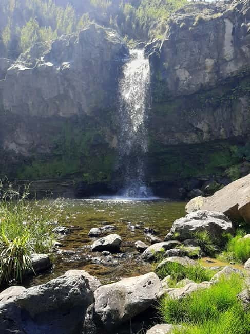 São Miguel: Moinho do Felix Hike with Tea Factory Visit - Who should book this hike-and-tea combo (and who should skip it)