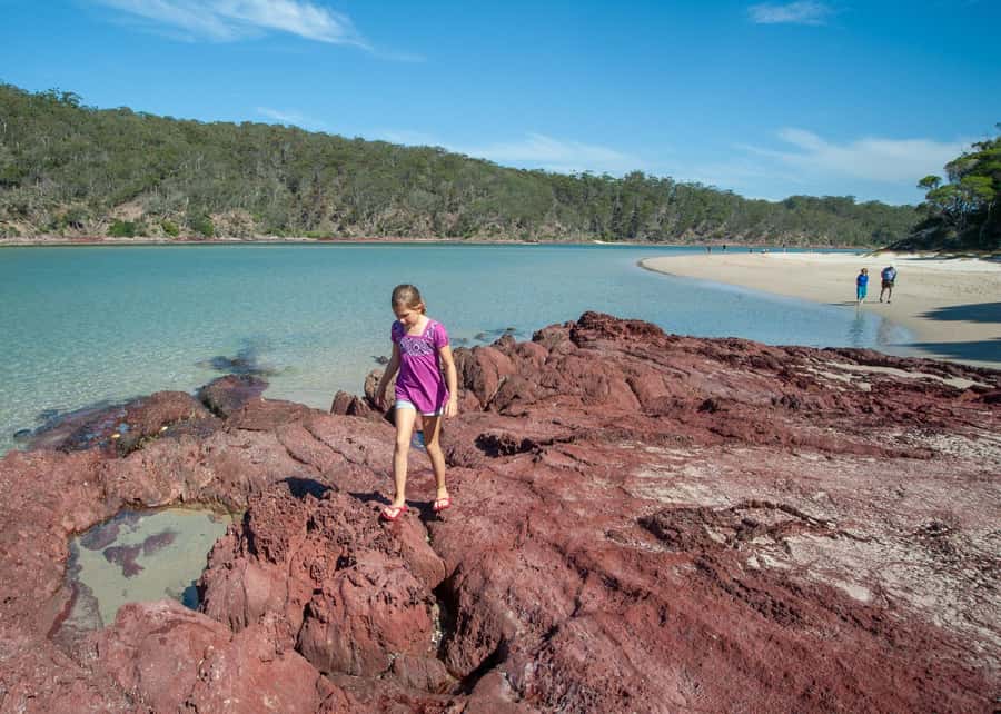 Sapphire Coast: 7h Shore Excursion with Aussie Morning Tea - Beach time at Pambula Beach: free space plus more guided moments