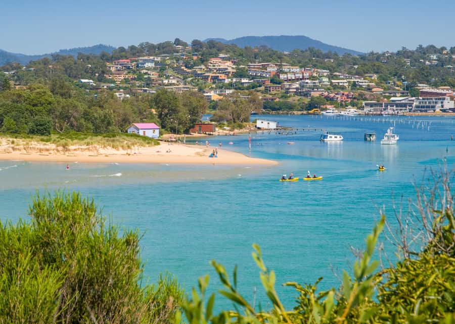 Sapphire Coast: 7h Shore Excursion with Aussie Morning Tea - Wildlife spotting: kangaroo guarantee, plus birds and an echidna moment