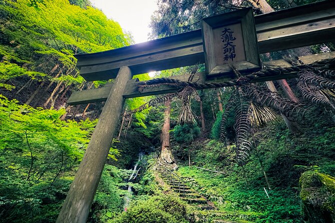 Scenic Green Tea Fields of Hidden Kyoto & Local Tea Exp (Private) - Why Wazuka tea country feels like its own world