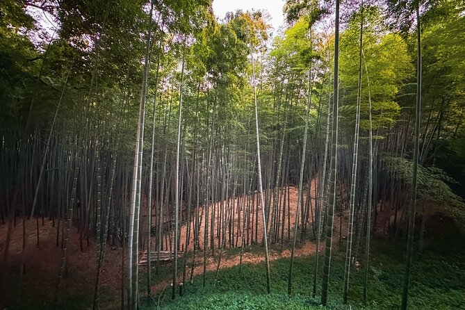 Scenic Green Tea Fields of Hidden Kyoto & Local Tea Exp (Private) - Shoju-in: the love-heart window, plus tea-culture stories in the forest