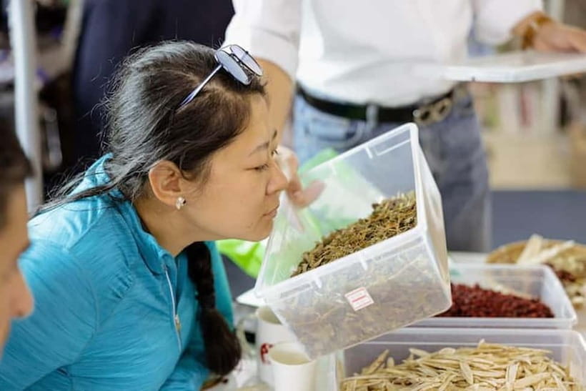 Seoul: Herbal Tea Class & Korean Medicine Tour - Price and value check: what $50 buys you