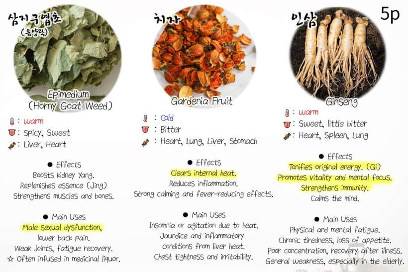 Seoul: Herbal Tea Class & Korean Medicine Tour - Should you book this herbal tea class and TKM museum visit?