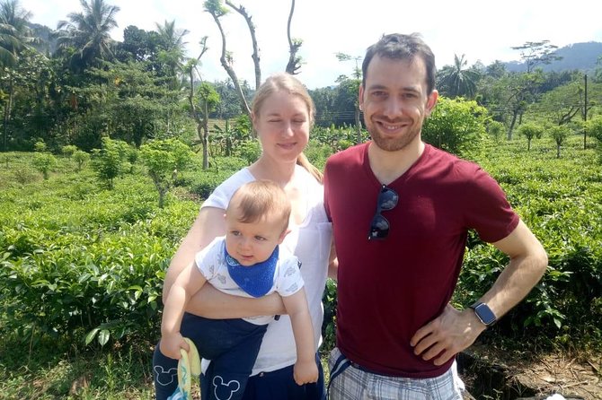 Shore Excursion From Colombo port to Ingiriya Tea Plantation & back for 2 People - Rubber Plantation Stop: an easy warm-up for tea country