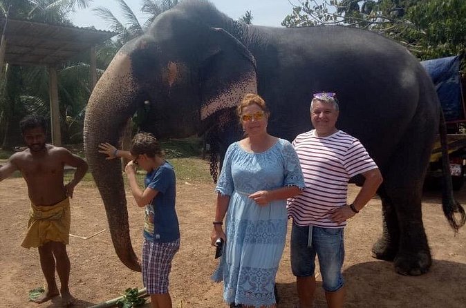 Shore Excursion From Colombo port to Ingiriya Tea Plantation & back for 2 People - Rice plantation + countryside drive: why the non-tea stops matter