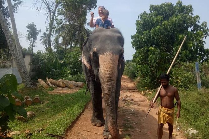 Shore Excursion From Colombo port to Ingiriya Tea Plantation & back for 2 People - Time, pacing, and private group size (5 to 8 hours)